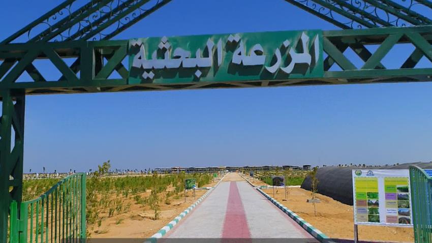 المزرعة البحثية