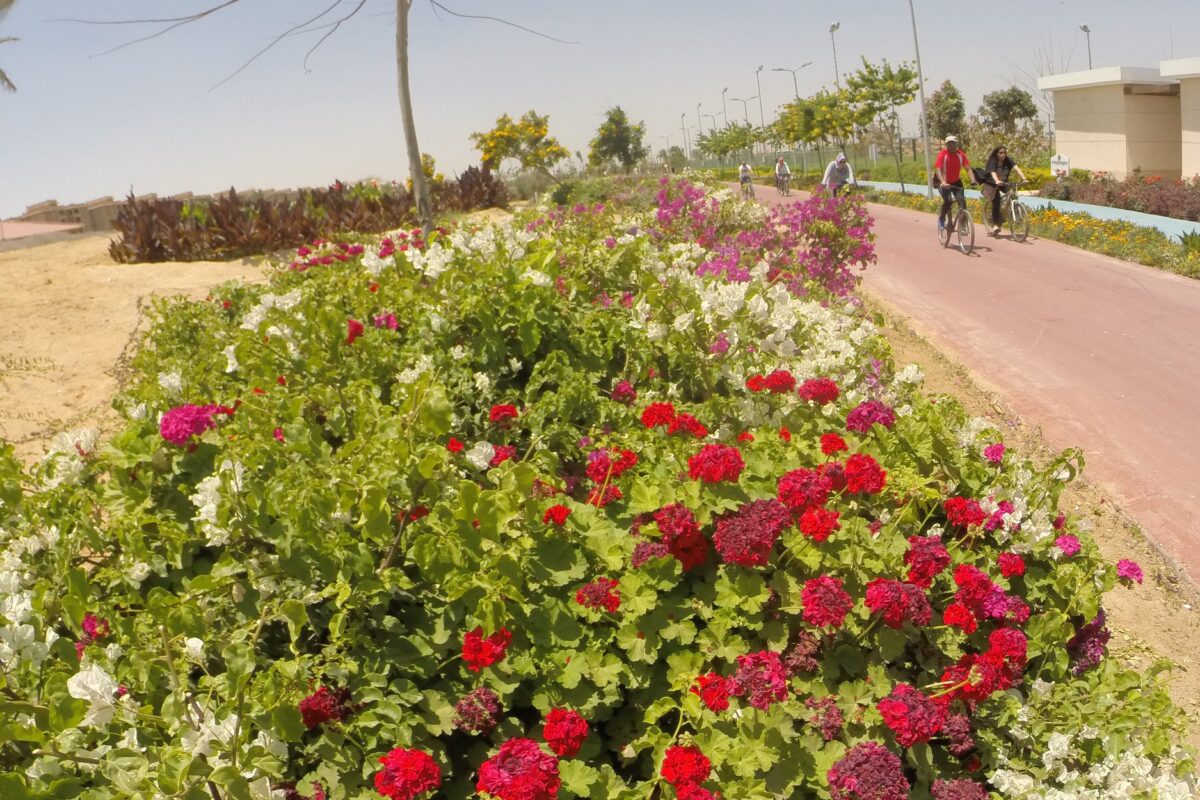 حديقة الدرجات